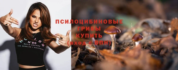 кокс Алексин