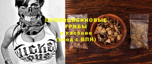 сатива Арсеньев