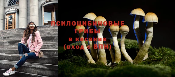 jwh Аркадак