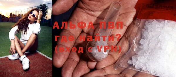 сатива Арсеньев